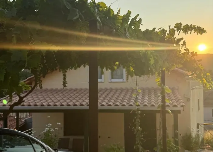 Basil & Sunrise *